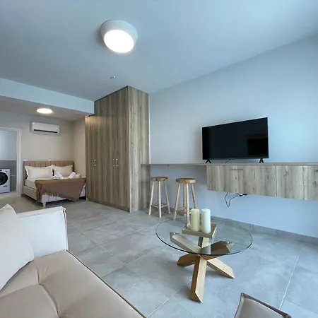 Acropolis View Luxurious Studio Living Αθήνα Εξωτερικό φωτογραφία